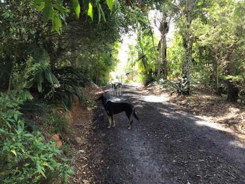 Bunya Cottage - Your Accommodation 2