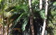 Bunya Cottage - thumb 1