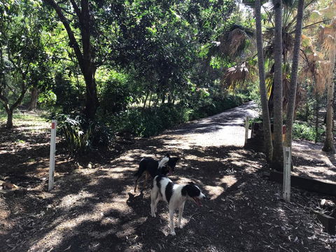 Bunya Cottage - Your Accommodation 3