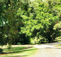 Cadaghi Cottage - Your Accommodation