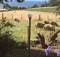 Cape View B and B - Your Accommodation