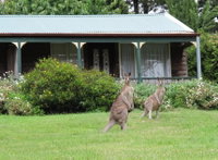 Book Mount Victoria Accommodation Vacations Your Accommodation Your Accommodation