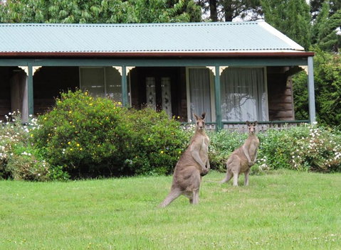 Cedar Lodge Cabins - Your Accommodation 0