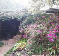 Charming country house close to Grafton - Your Accommodation