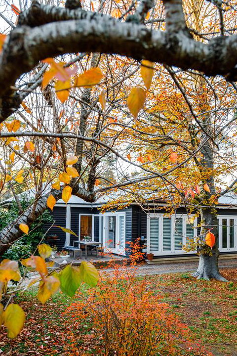 Charming Mountain Cottage - Your Accommodation 3