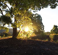 Clarendon Forest Retreat - Your Accommodation