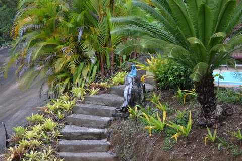 Cloud 9 - Your Accommodation 1