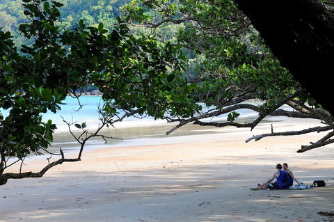 Cow Bay Homestay B&B - Your Accommodation 1