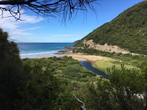 Cumberland River Holiday Park - Your Accommodation 3
