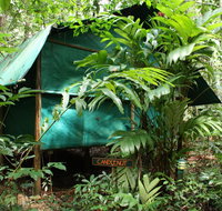 Daintree Crocodylus - Your Accommodation