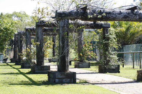 Daintree Wild Bed & Breakfast - Your Accommodation 2