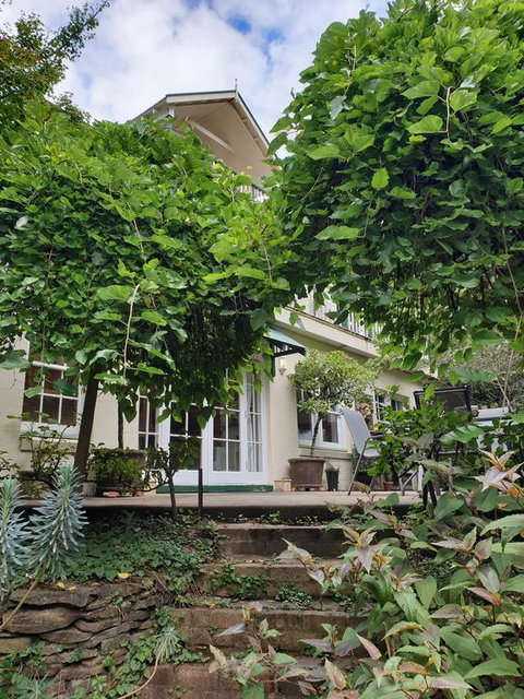 Davaar Hideaway Leura - Your Accommodation 0