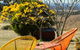 Deshons Retreat - thumb 3