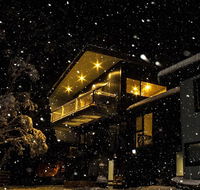 Diana Alpine Lodge - Your Accommodation