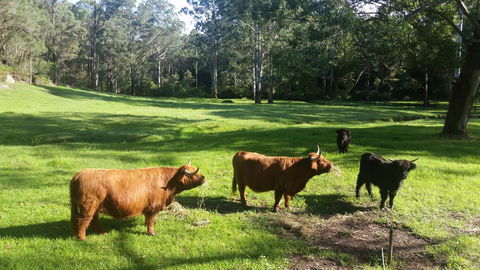 Dingley Dell - Your Accommodation 0