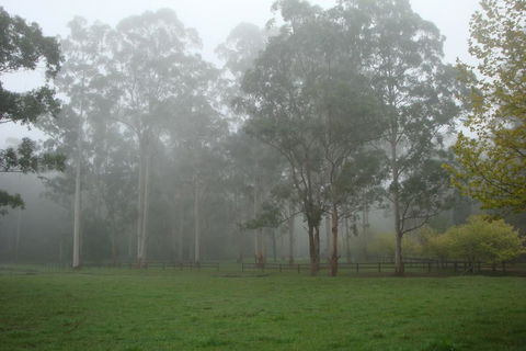 Dingley Dell - Your Accommodation 2