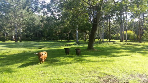 Dingley Dell - Your Accommodation 3