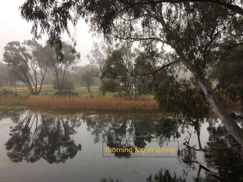 Donald Riverside Motel - Your Accommodation 1