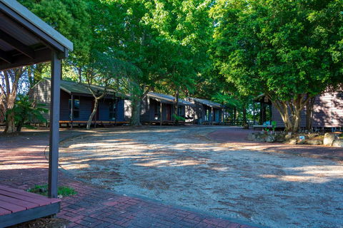 Dorrigo Mountain Holiday Park - Your Accommodation 1