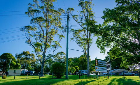 Dorrigo Mountain Holiday Park - Your Accommodation 0