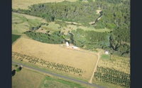 Book Buckland Accommodation Vacations Your Accommodation Your Accommodation