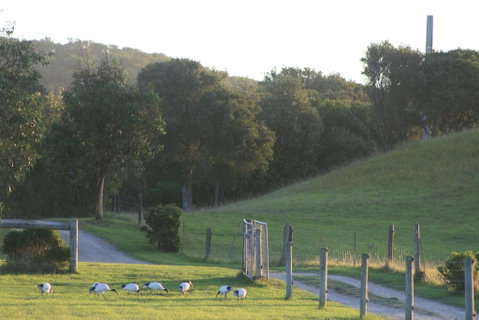 Driftwood Villas - Your Accommodation 1
