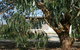 Driftwood Villas - thumb 3