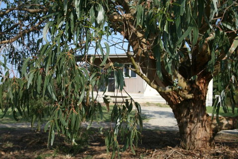 Driftwood Villas - Your Accommodation 3