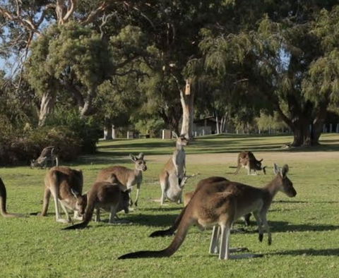 Eastern Hill Creswick - Your Accommodation 1