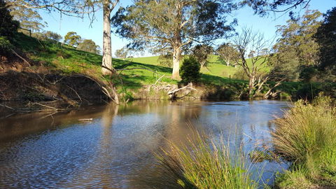 Emerald Hills Cottage - Your Accommodation 1