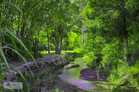 Book Esk Accommodation Vacations Your Accommodation Your Accommodation