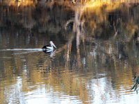 Book Euston Accommodation Vacations Your Accommodation Your Accommodation