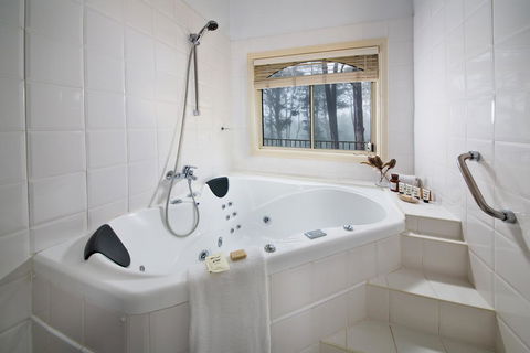 Falls Mountain Retreat Blue Mountains - Your Accommodation 3