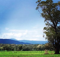 Fourjay Farmstay - Your Accommodation