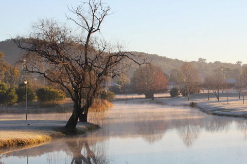 FROGGIES HOLIDAY HOUSE - Your Accommodation 1