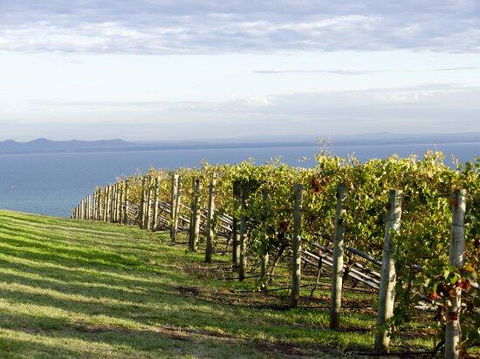 Geelong Serviced Apartments - Your Accommodation 1