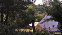 Book Zeehan Accommodation Vacations Your Accommodation Your Accommodation