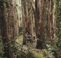 Habitat Noosa - Your Accommodation