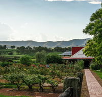 Hanging Tree Wines