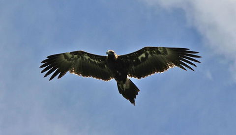 Highwood Park B&B Guest Lodge - Your Accommodation 3