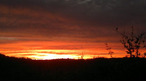 Highwood Park B&B Guest Lodge - Your Accommodation 2