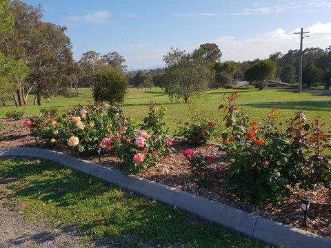 Kandos Fairways Motel - Your Accommodation 2