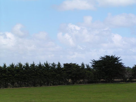 Karingal Homestead B&B - Your Accommodation 0