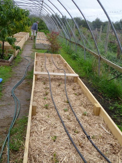 Karingal Homestead B&B - Your Accommodation 3