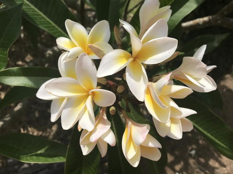 King Ludwigs Cottage - Your Accommodation 3