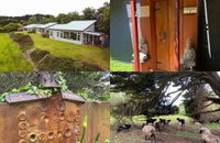 Book Kongwak Accommodation Vacations Your Accommodation Your Accommodation