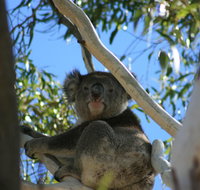 Levi Park Caravan Park - Your Accommodation