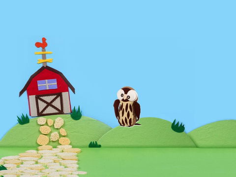 Mallum Creek Farm - Your Accommodation 2