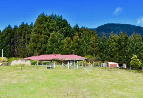 Maydena Mountain Cabins - Your Accommodation 2