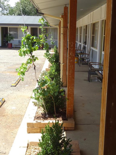 Memphis Motor Inn - Your Accommodation 3